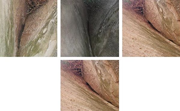 Queer Artists in Their Own Words: J. Madison Rink Finds Inspiration From Nature After Surviving Trauma