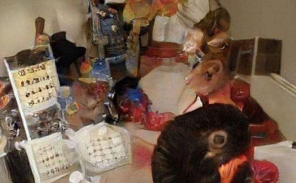 How One Meme Reveals the Difference in How Humans and AI "See"