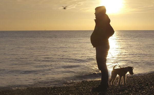 The Story of a Pregnant Man, Told With Sensitivity and Respect