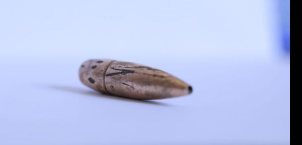 Forensic Architecture Says It Has Found Bullet Linking Whitney Vice Chair to Violence in Gaza, Withdraws from Biennial