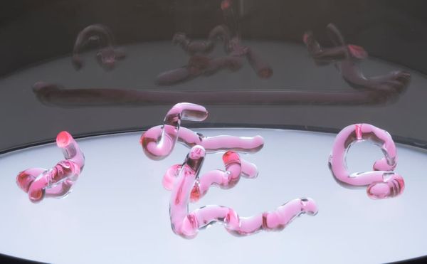 An Unlikely Marriage of Science and Art