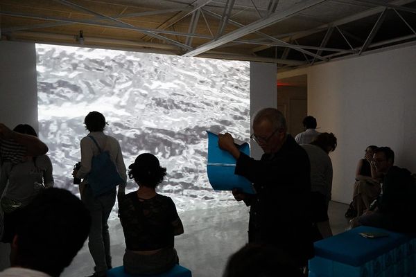 The Bard MFA Thesis Exhibition Say Ever Moves Opens July 20