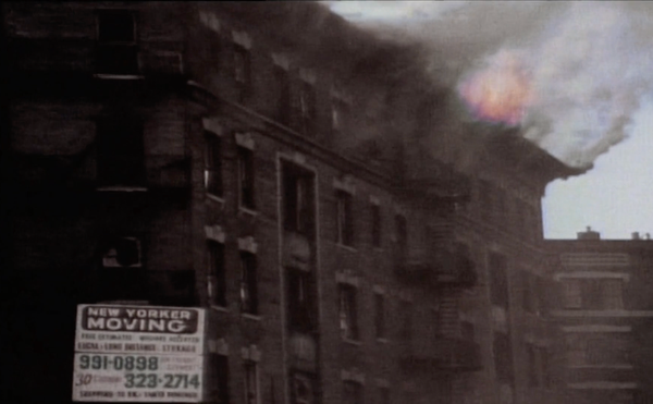 How New York Let the Bronx Burn, and How the Borough Survived