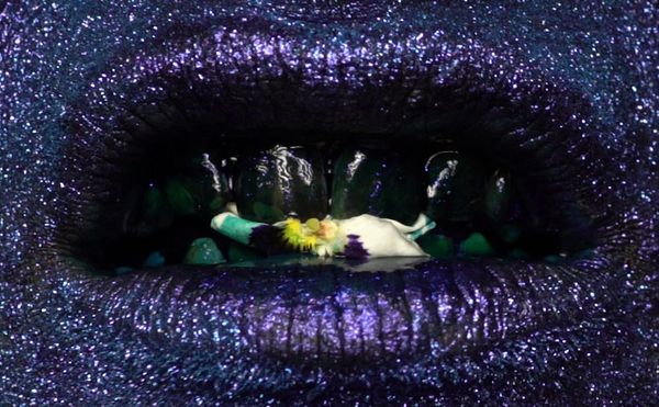 Eating Flowers in Search of Mysticism and Meaning