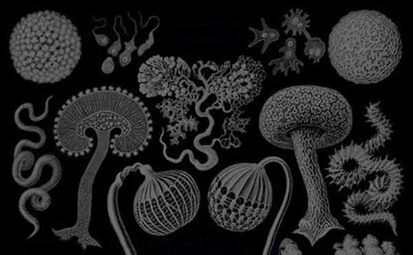 The Unreality of Everyday Life