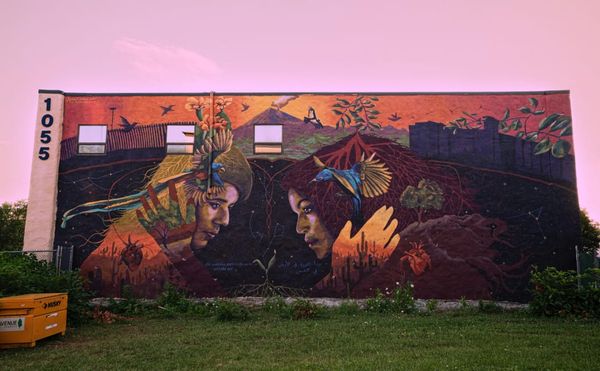 Two Artists Ask: “Can We Think Across Borders Like Plants Do?”