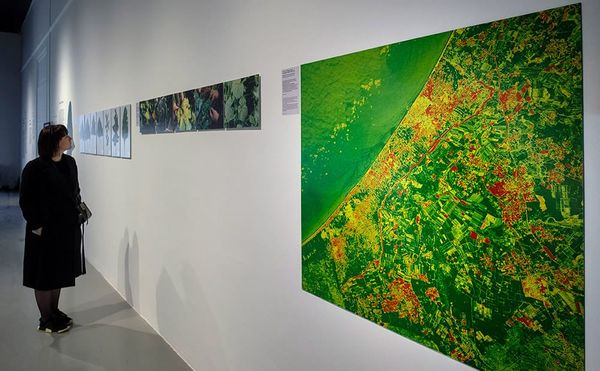 Links Between Bullets and Herbicides Are in the Crosshairs of Forensic Architecture