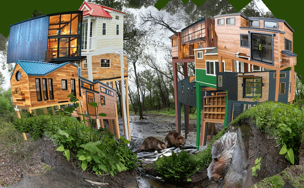 What to See and Do During New York Climate Week