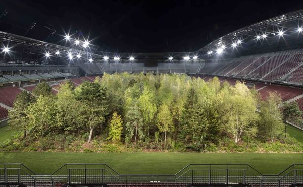 A Living Forest Planted in a Soccer Stadium Incites Rightwing Backlash