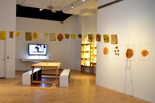 apexart's NYC Open Call Invites Exhibition Proposals in October