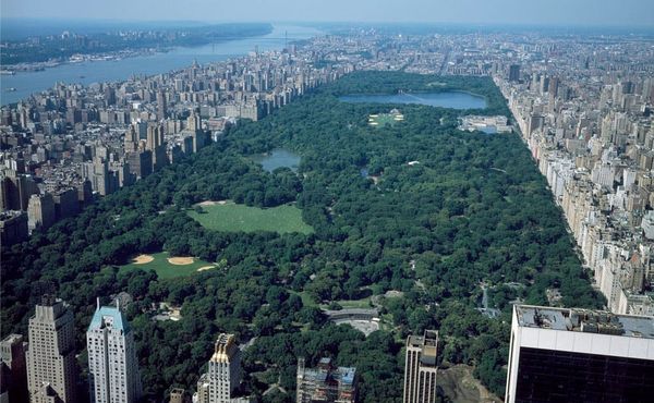 Monument to Seneca Village Family Rushed and Historically Inaccurate, Experts Say