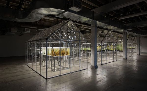 A Greenhouse for Extinct Flora