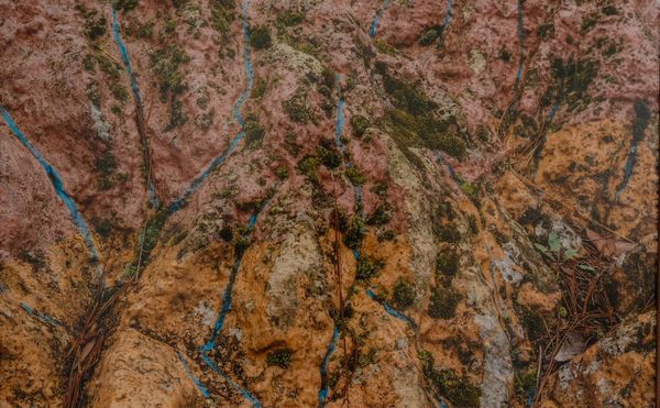 The Haunting Image of Home Amid Climate Change