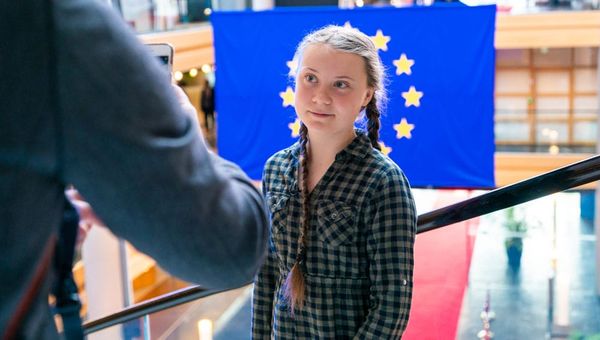 Museum Honors Greta Thunberg's Activism by … Naming a Beetle After Her?