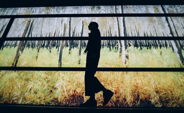 A Moscow Museum's Ecological Rallying Cry