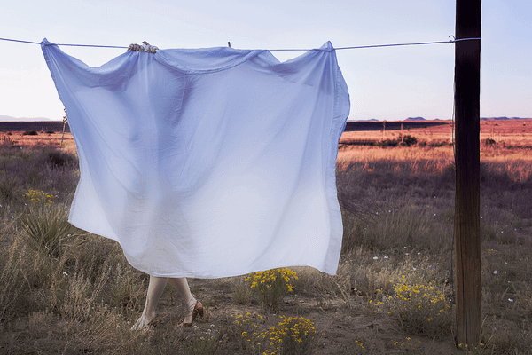 University of Houston School of Art Invites Applications for Studio MFAs and MAs in Art History