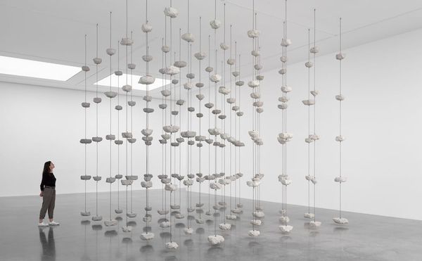 Mona Hatoum's Multiple, Often Contradictory Meanings