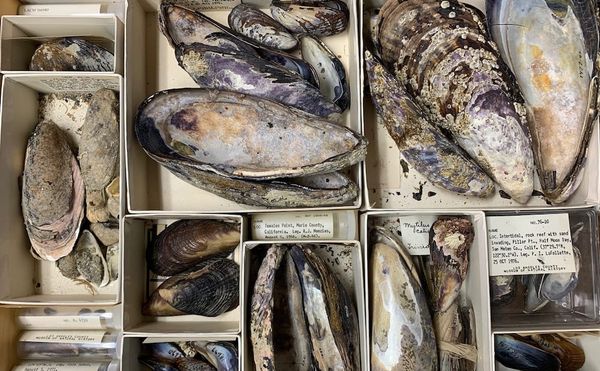 15 Artists Address the Politics of Food in Whimsical and Weighty Ways