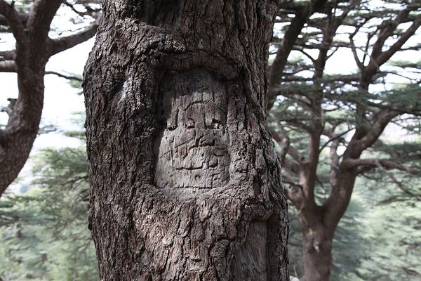 Miller Institute for Contemporary Art Presents This Skin of Ours