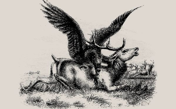 Visions of the World as a Brutal Dystopia