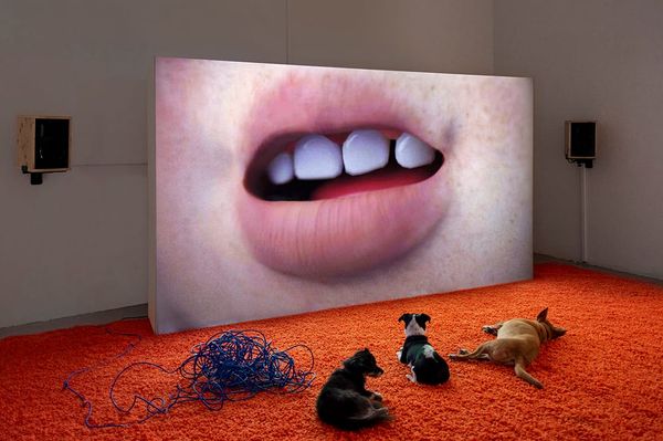 Bard MFA Fall 2019 Information Session Takes Place on Campus on December 6