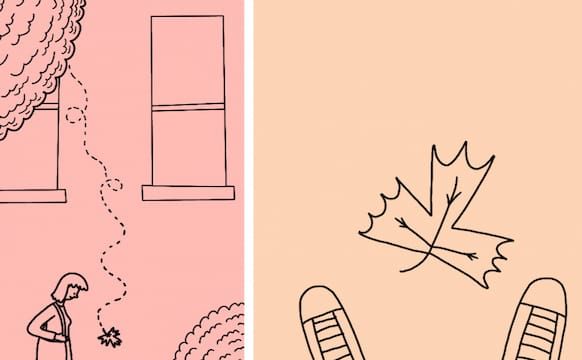 Collecting the World One Day at a Time