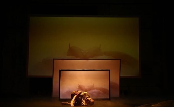 Mourning through Performance, or Performative Mourning?