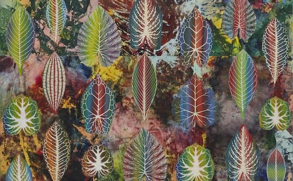 Philip Taaffe, Symbolist and Naturalist