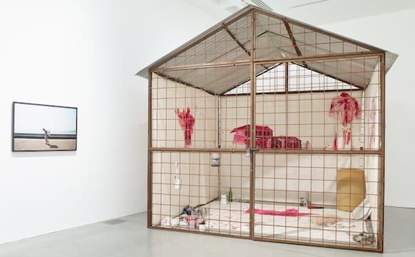 Visions of Home that Are Gut-Wrenching, Contemplative, and Funny