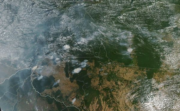 Ai Weiwei Is Documenting the Amazon Fires for a New Project