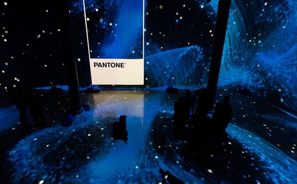 It’s Official, Classic Blue Is the Color of 2020