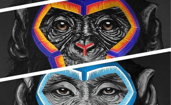 Controversy Boils Over Italian Soccer League's Anti-Racism Campaign Featuring Apes