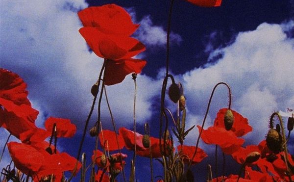 Wondrous Animations Made of Quilts, Glass, and Found Objects