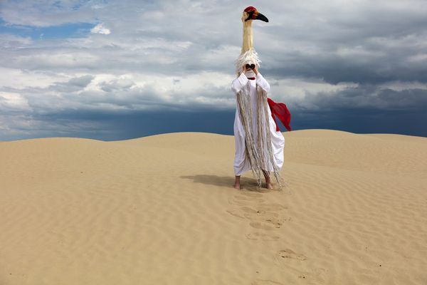 Stamps Gallery Presents: Taking a Stand