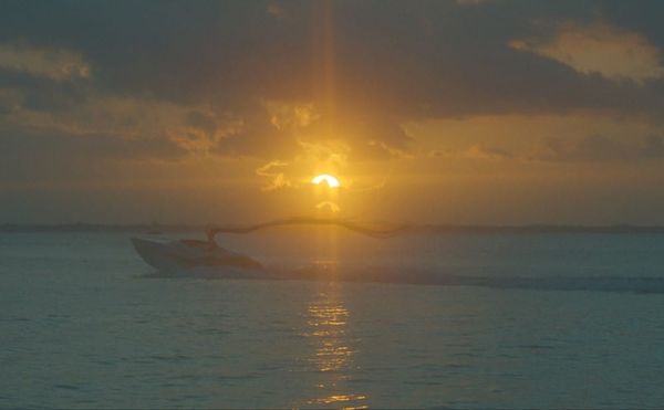 A Boat Speeds Through Miami Mythology and Chaos