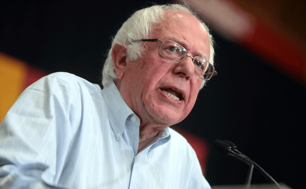 Open Letter Endorsing Bernie Sanders Reaches Over 1,000 Signatures, Nearly Doubling Overnight