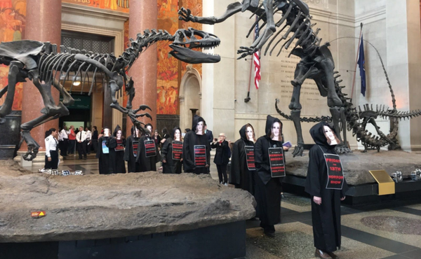 Rebekah Mercer, Funder of Climate Change Denial, No Longer On American Museum of Natural History Board