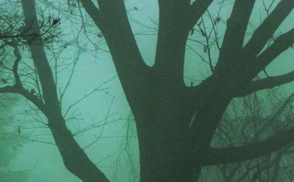 An Evolution of Style in Three Poets