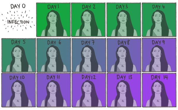 COVID-19 Statistics in Instructive, Comforting Illustrations