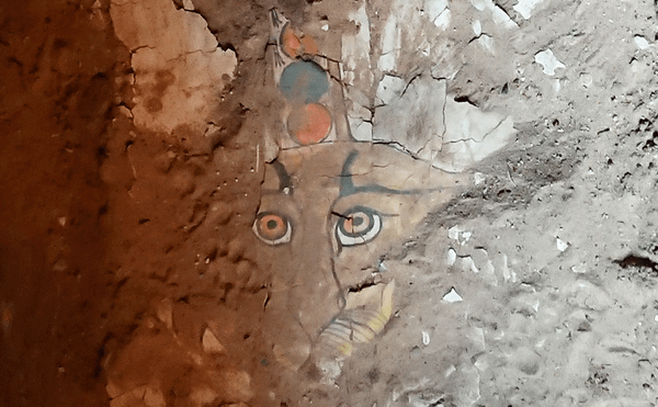 Unique Painted Leopard Sarcophagus Unearthed in Egypt