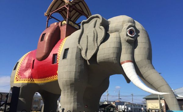 Pack Your Suitcase — This Elephant-Shaped Airbnb Already Has a Trunk