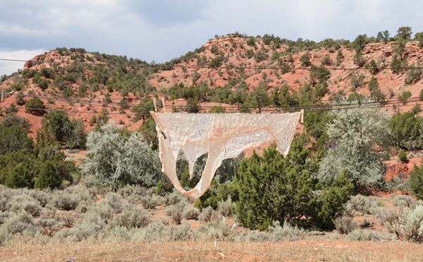 12 New Mexico Artists Defy Southwestern Stereotypes