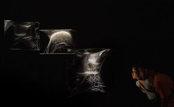 An Invitation to Get Caught in the Spider's Web