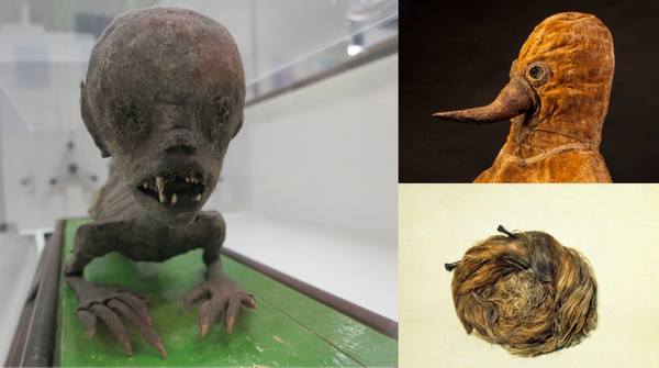Museums Worldwide Post the Creepiest Objects in Their Collections