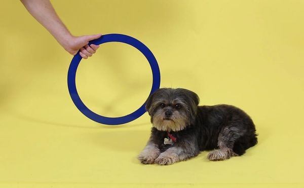 Artists Are Teaching Free Online Classes to Kids in Both English and Spanish