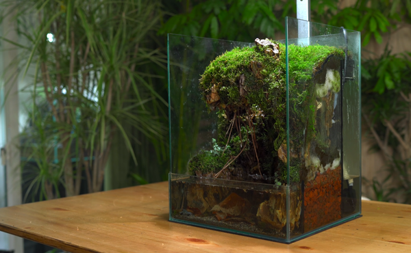 Explaining Your Favorite Gifs and Translating Video Games: Web Docs to Watch