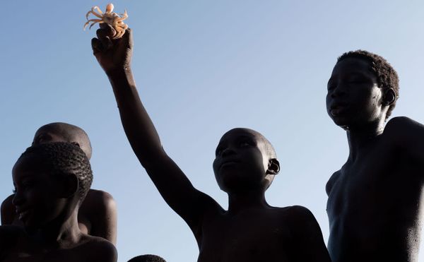 96 Photographers Contribute Prints to Benefit One of NYC’s Hardest Hit Hospitals