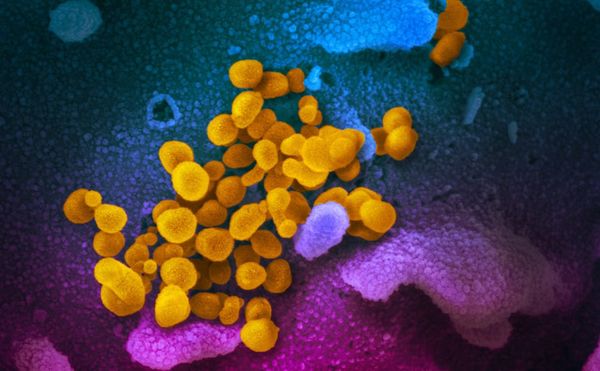 The Pandemic’s Invisible Agent