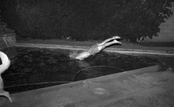 During Crisis, Photographers Receive 100% of Proceeds From This Online Print Sale