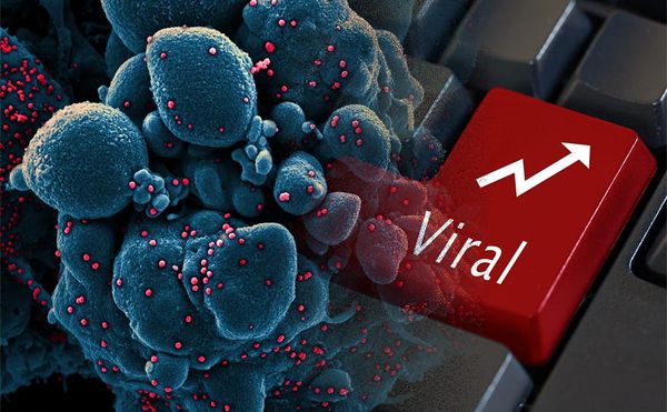 Introducing Our First Sunday Edition, Viral: 🦠From Pandemics to Popularity 🌐